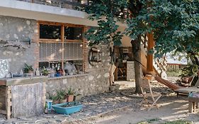 The House In The Village