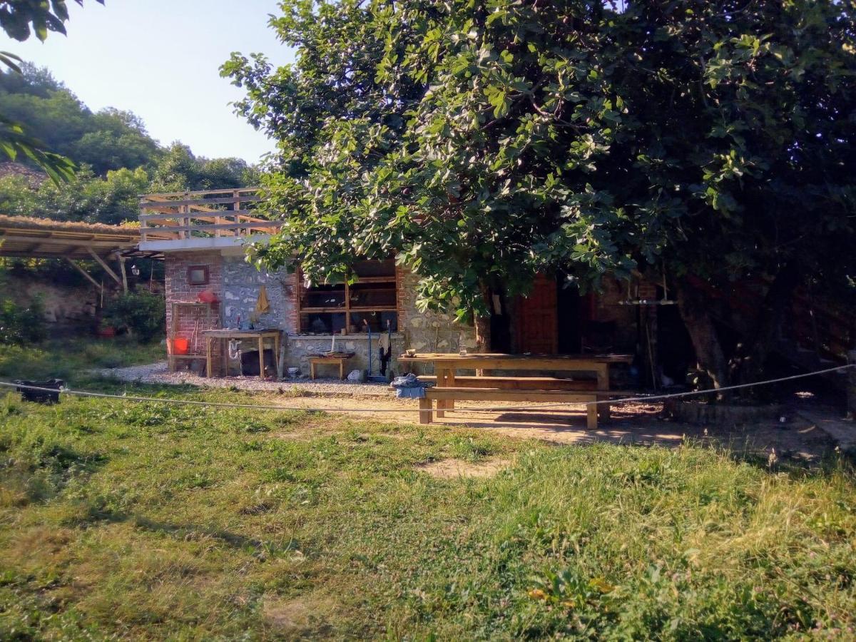 The House In The Village Pellumbas Buitenkant foto